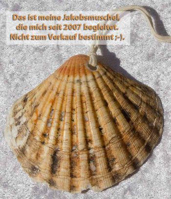 Die Muschel ist das Kennzeichen der Jakobspilger und wurde im Mittelalter auf dem Nachhauseweg getragen.